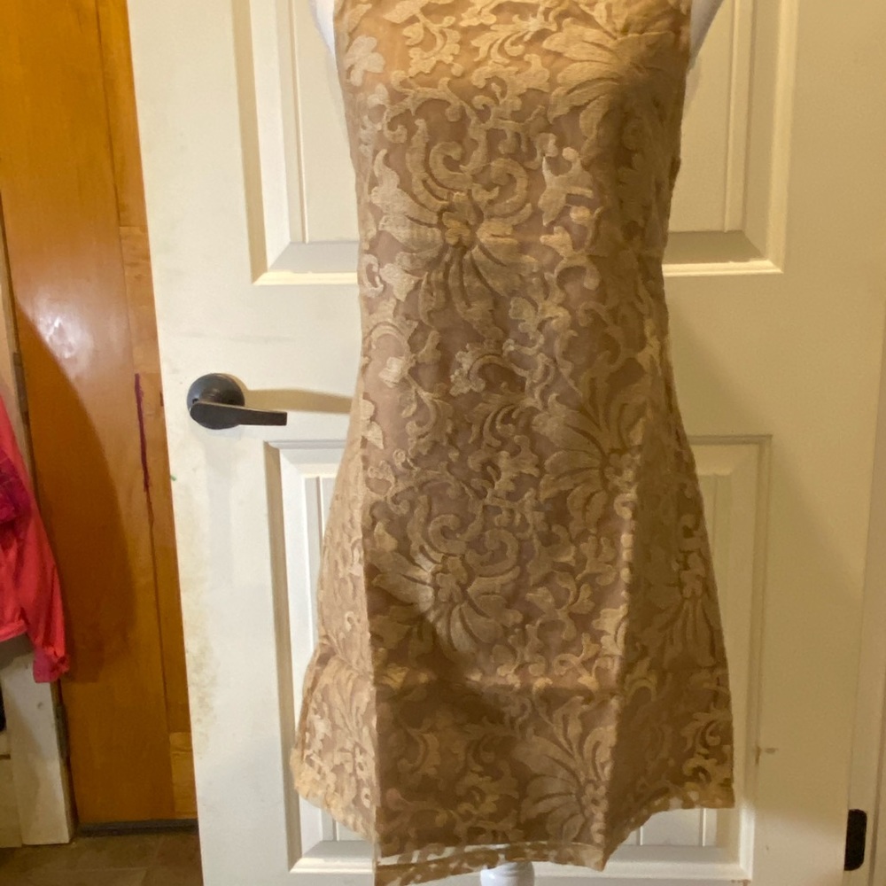 Lucy Paris Dress, Flower Lace Print- NWT - Picture 2 of 7